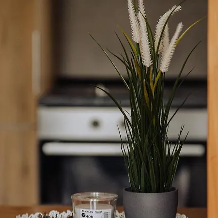 公寓 Divcinova Moderan A10 *