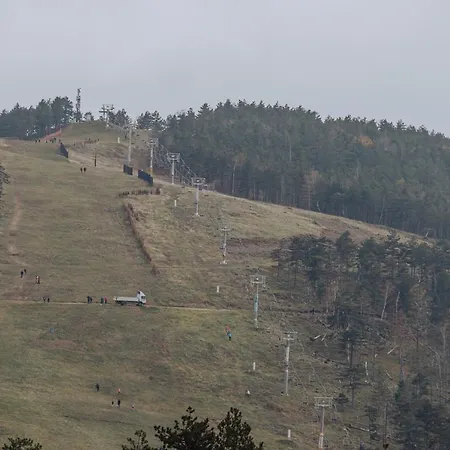 Divcinova Moderan A10