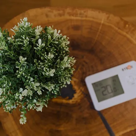 Divcinova Moderan A10 * Divčibare