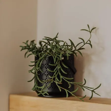 Divcinova Moderan A10 *