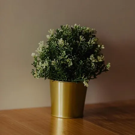 Divcinova Moderan A10 公寓 Divčibare