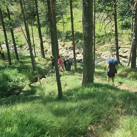 Divcinova Moderan A10 Lägenhet Divčibare