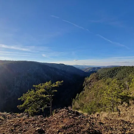 Divcinova Moderan A10 Divčibare