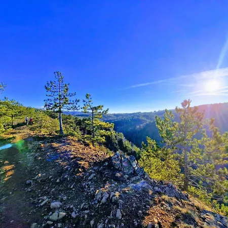 Divcinova Moderan A10 Lägenhet Divčibare