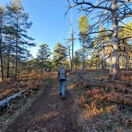 Divcinova Moderan A10