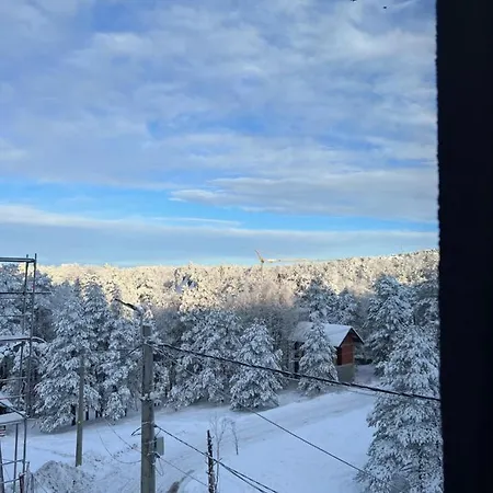 Divcinova Moderan A10 *