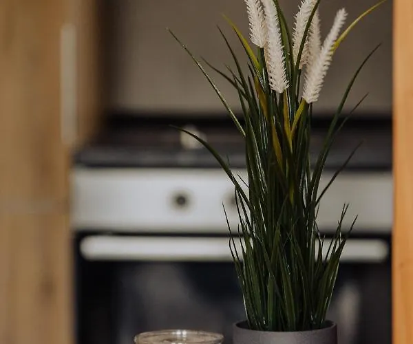 Apartament Divcinova Moderan A10 *