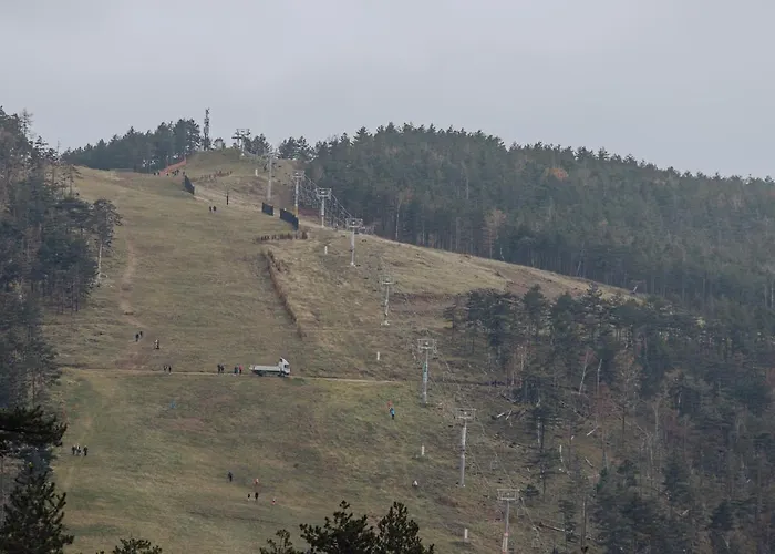 Divcinova Moderan A10