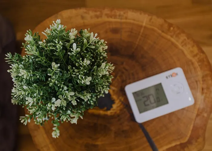 Divcinova Moderan A10 * Divčibare