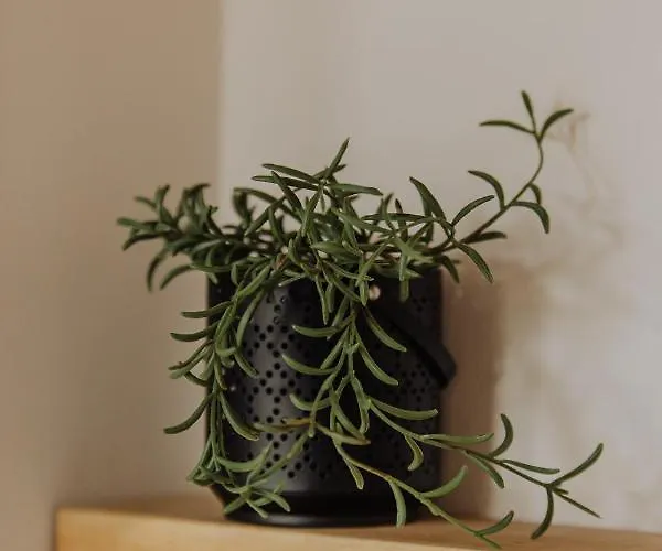 Divcinova Moderan A10 *