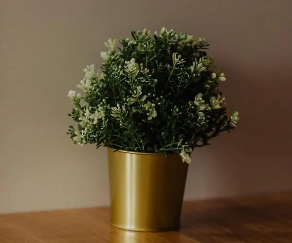 Divcinova Moderan A10 Apartament Divčibare