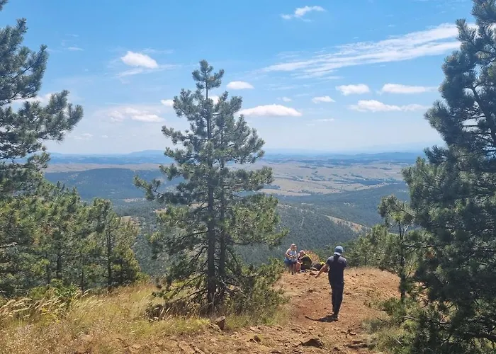 Divcinova Moderan A10