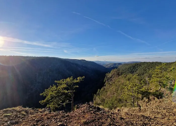 Divcinova Moderan A10 Divčibare