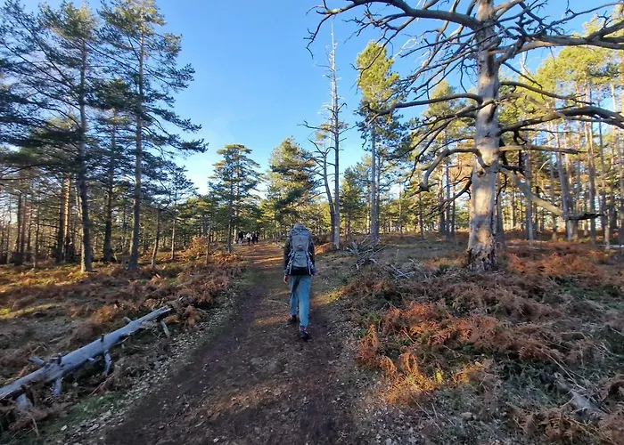 Divcinova Moderan A10