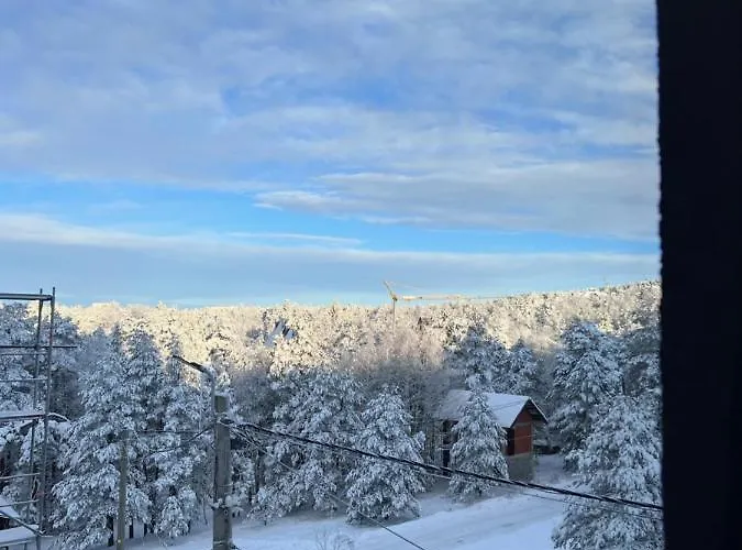 Divcinova Moderan A10 *